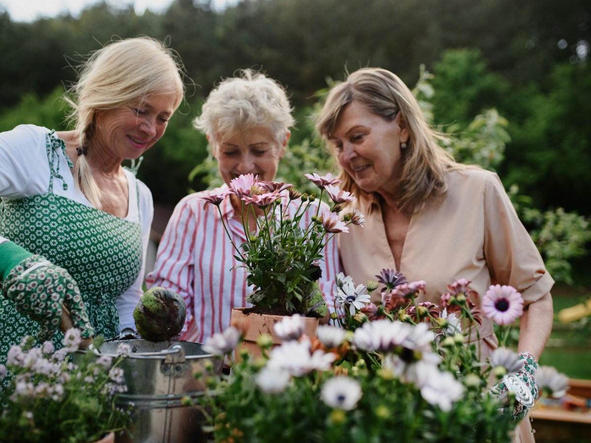 A Prescription for Connection: How Social Prescribing is Transforming Lives in&nbsp;Australia