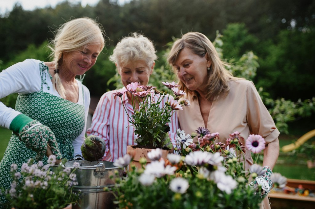 A Prescription for Connection: How Social Prescribing is Transforming Lives in&nbsp;Australia