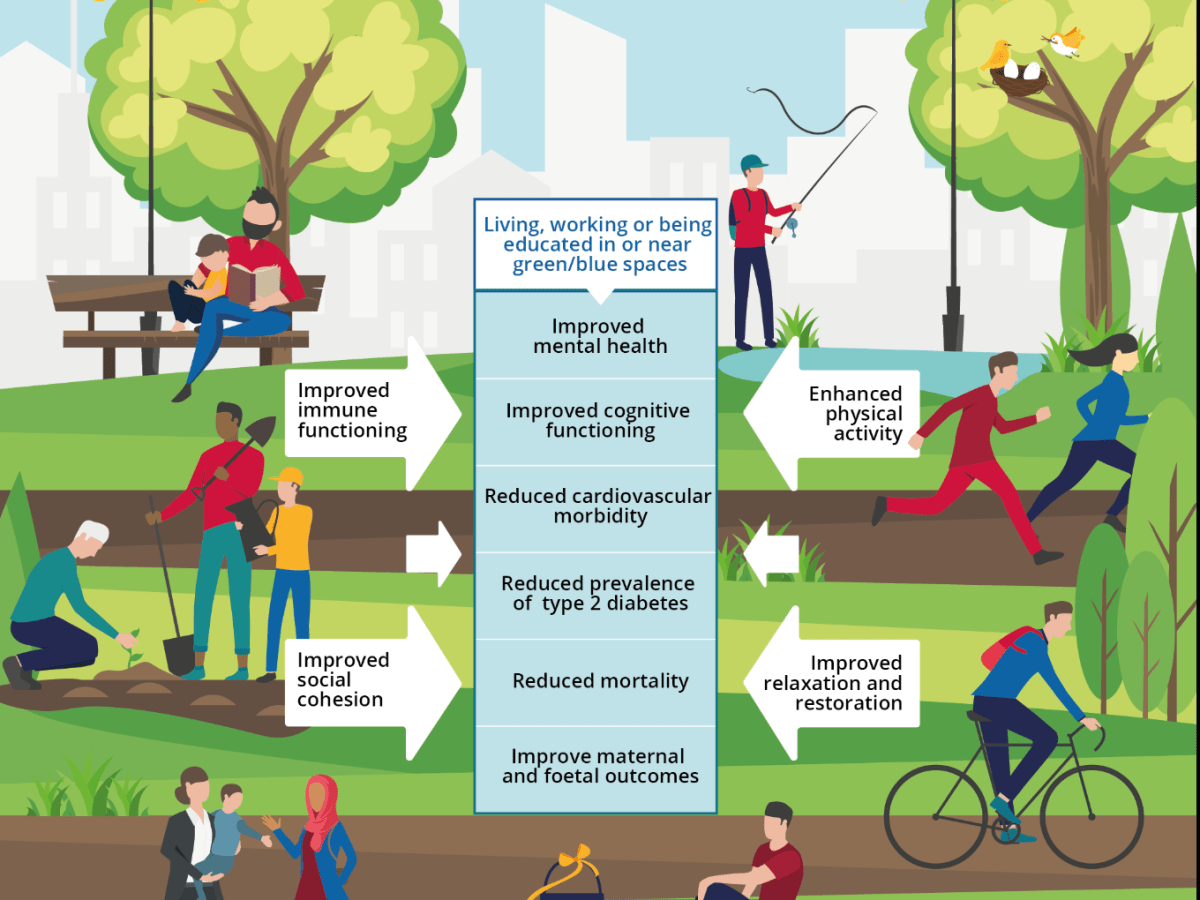 How Urban Greenspace Supports Cancer Survivors’ Cardiovascular&nbsp;Health