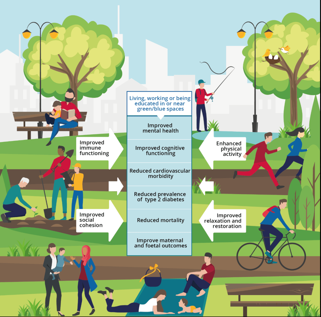 How Urban Greenspace Supports Cancer Survivors’ Cardiovascular&nbsp;Health